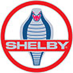 Quotazione usato Shelby