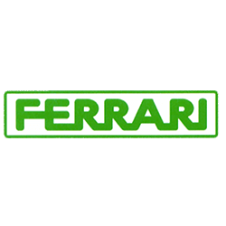 Quotazione usato Ferrari