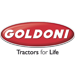 Quotazione usato Goldoni