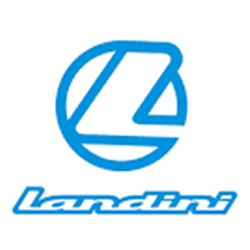 Quotazione usato Landini