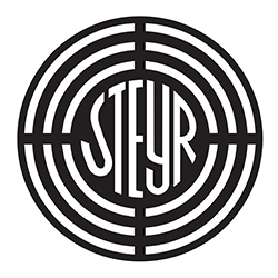 Quotazione usato Steyr