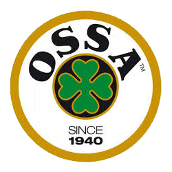 Quotazione usato OSSA