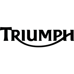 Quotazione usato TRIUMPH