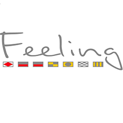 Quotazione usato FEELING