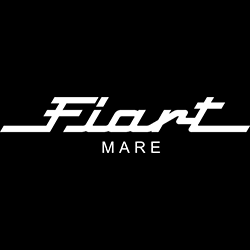 Quotazione usato FIART MARE