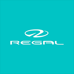 Quotazione usato REGAL